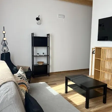 Apartament Apartamentos Erandio